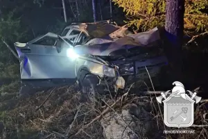 Два человека госпитализированы после ДТП с лосем в Приозерском районе