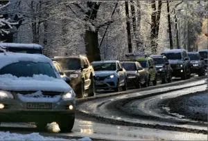 Ночные заморозки до −6 градусов и туман ожидаются в Ленобласти