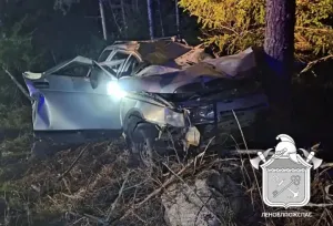 В Приозерском районе ВАЗ врезался в лося и дерево