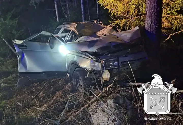 В Приозерском районе ВАЗ врезался в лося и дерево