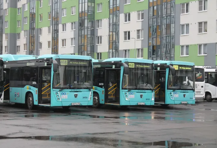 Более тысячи жителей Ленобласти и Петербурга получили компенсацию за ОСАГО