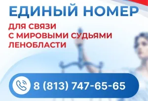 В Ленобласти запустят единый номер для связи с мировыми судьями