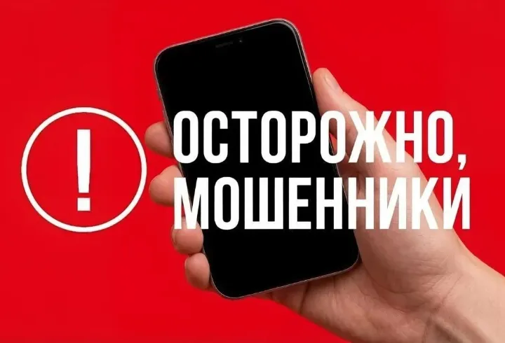 В Ленобласти мошенники звонят семьям погибших участников СВО