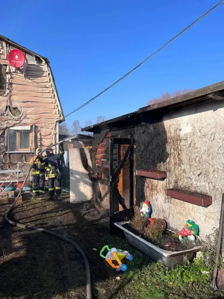 В Отрадном при пожаре спасли женщину и полуторагодовалого ребёнка